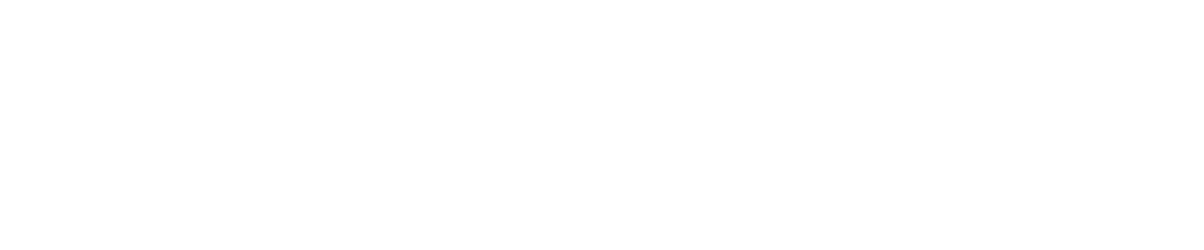 Niemi Bil